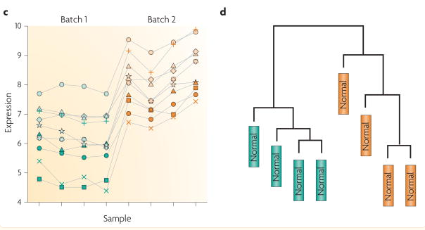 Batch effect: scatter plot (Batch 1 vs 2) and dendrogram showing batch-dominated clustering