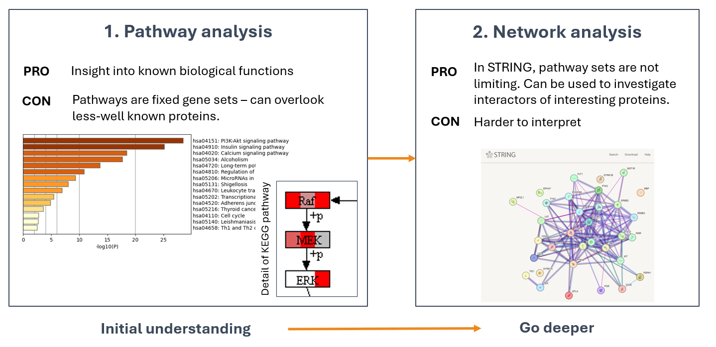 Pathway-network analysis