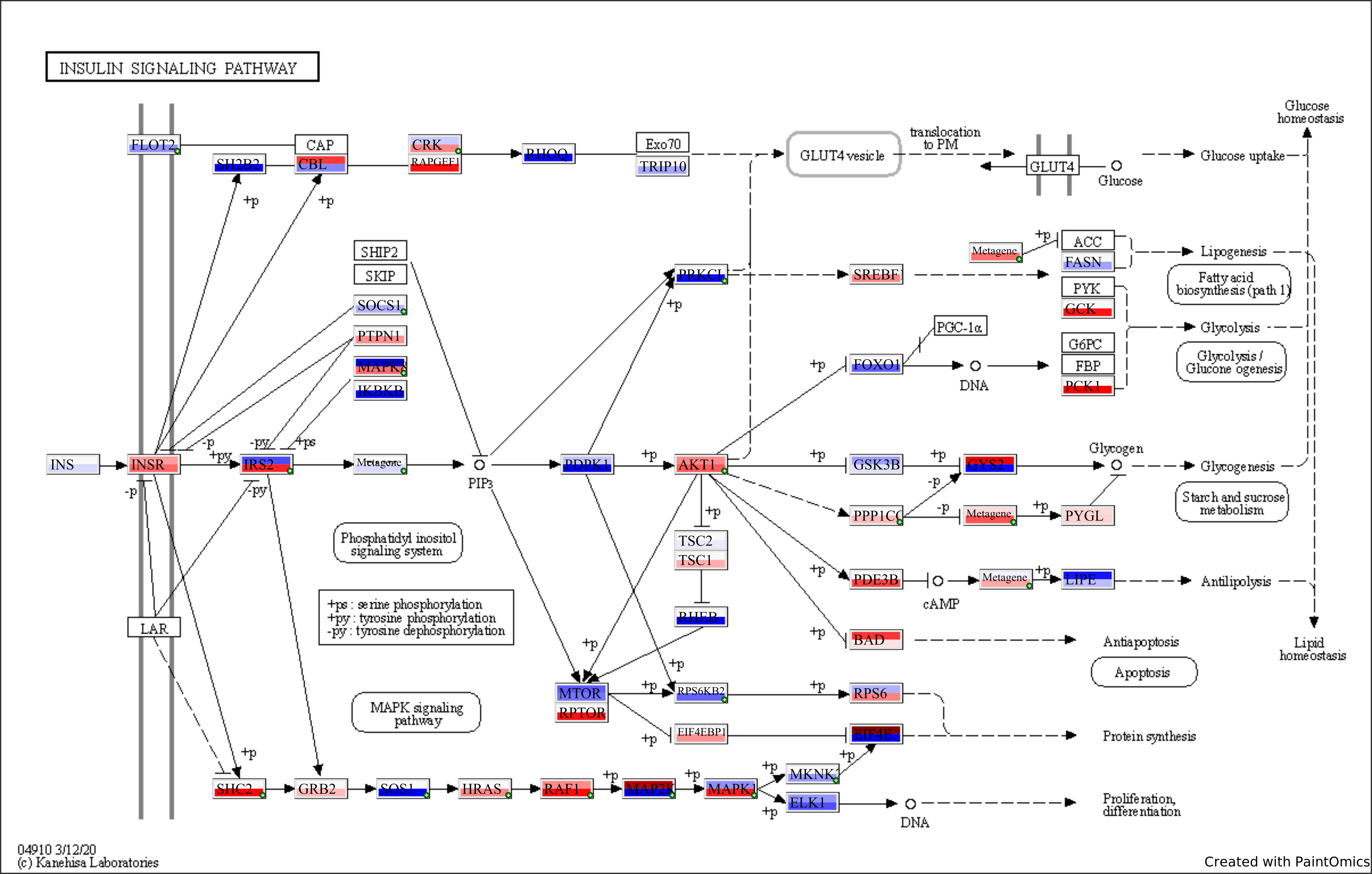 Paintomics output