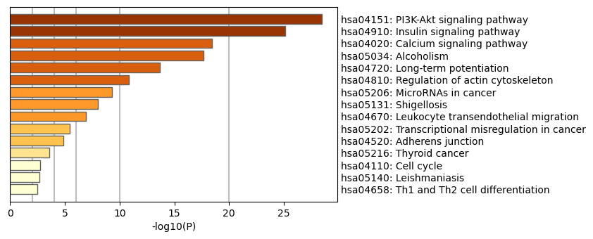 Metascape output