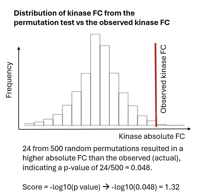 Permutation test distribution|515
