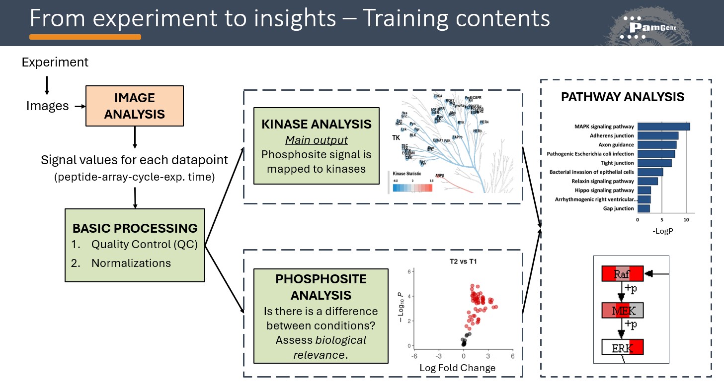 Pipeline: data analysis
