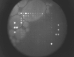 Broken array